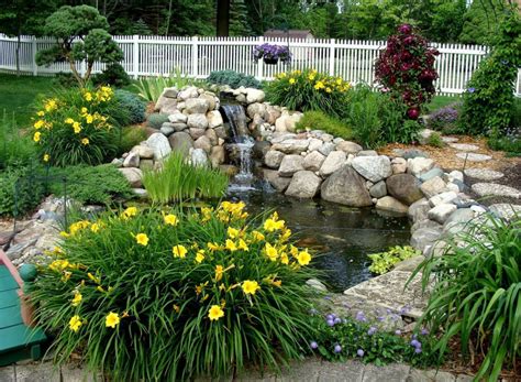 backyard pond forum